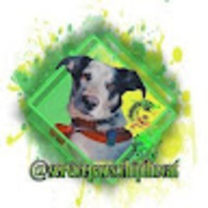 Meet your Posher, Kai